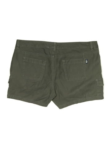 The North Face Cargo Shorts (view 2)