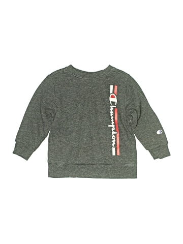 Champion Sweatshirt (view 1)