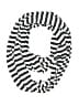 Unbranded Stripes Black Scarf One size - photo 1