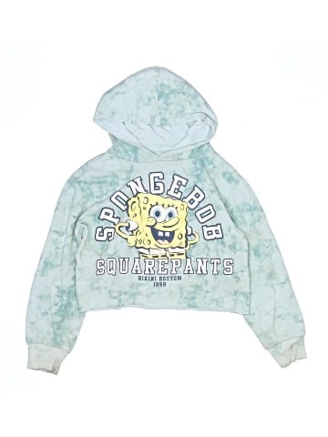 Nickelodeon Pullover Hoodie (view 1)