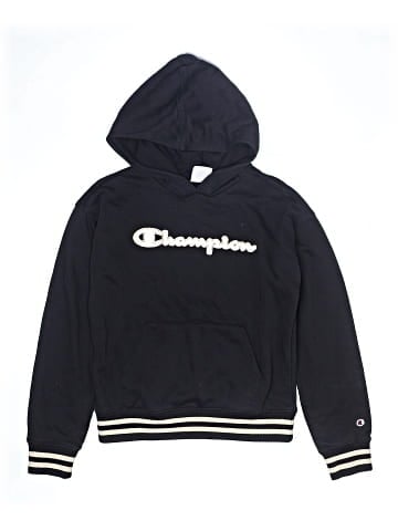Champion Pullover Hoodie (view 1)