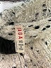 Raga Tweed Silver Pullover Sweater Size XS - photo 7
