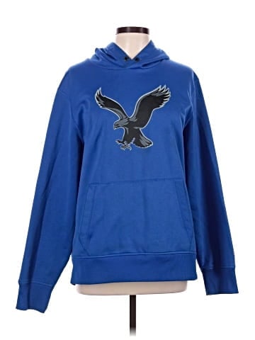 American Eagle Outfitters Pullover Hoodie (view 1)