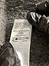 Columbia Solid Gray Active Skort Size XS - photo 4