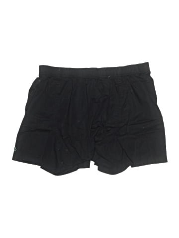 Volcom Shorts (view 2)