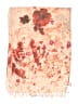 Peter Som Pink Scarf One size - photo 2