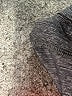lucy Chevron-herringbone Gray Active Pants Size XL - photo 8