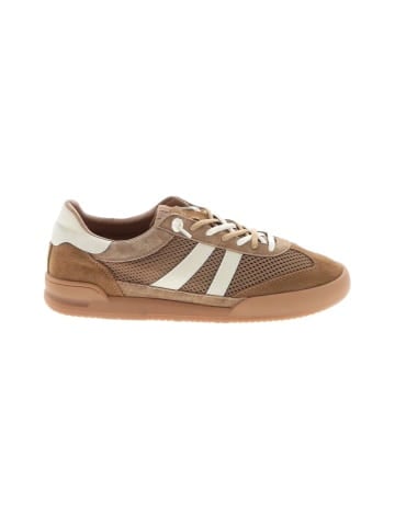 Steve Madden Sneakers (view 1)