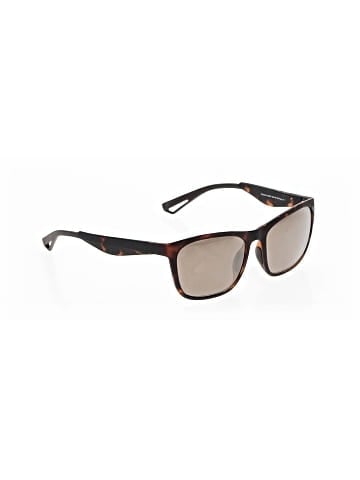 Warby Parker Sunglasses (view 1)