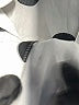 Kasper Polka Dots Ivory Sleeveless Button-Down Shirt Size 8 - photo 8
