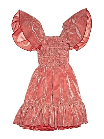 Iris & Ivy Dress (view 1)