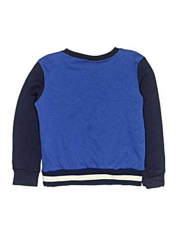 Tony Hawk Sweatshirt (view 2)