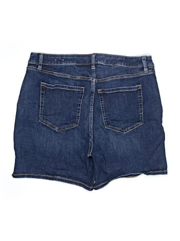 Lane Bryant Denim Shorts (view 2)