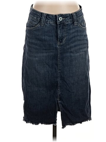 Jag Denim Skirt (view 1)