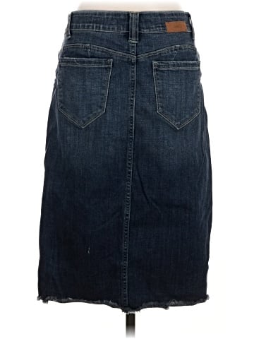 Jag Denim Skirt (view 2)