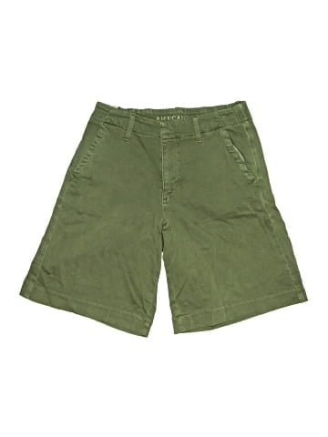 American Eagle Outfitters Khaki Shorts (view 1)