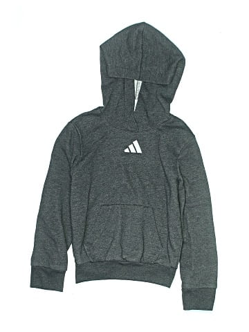 Adidas Pullover Hoodie (view 1)