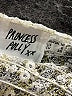 Princess Polly 100% Polyester Ivory Tank Top Size 6 - photo 7