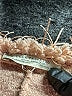 Trafaluc by Zara Tweed Brown Pullover Sweater Size S - photo 7