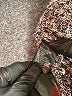 Cremieux Tweed Silver Pullover Sweater Size M - photo 8
