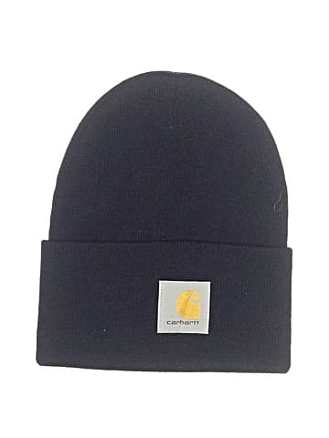 Carhartt Beanie (view 1)