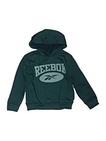Reebok Pullover Hoodie (view 1)