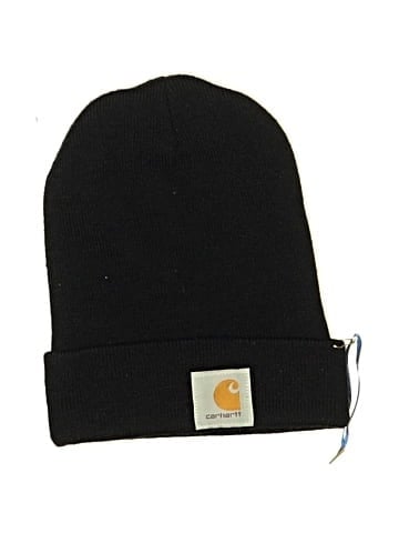 Carhartt Beanie (view 1)