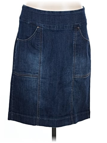 Jag Jeans Denim Skirt (view 1)