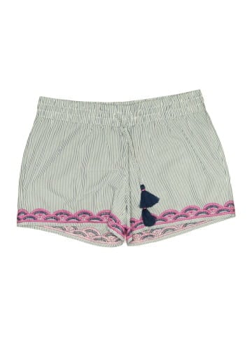 Vineyard Vines Shorts (view 1)