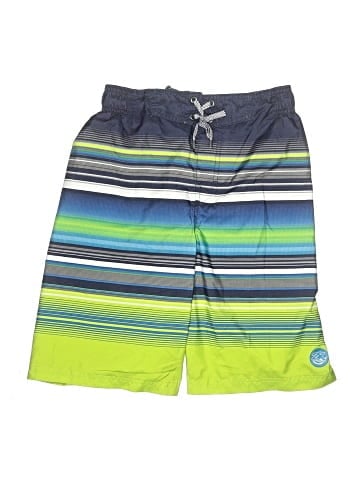 ZeroXposur Board Shorts (view 1)