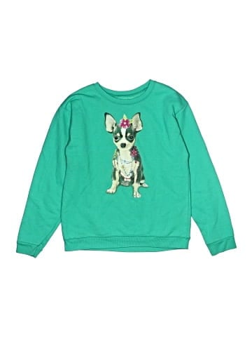 Hanes Sweatshirt (view 1)