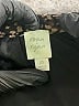 Roan + Ryan Animal Print Brown Casual Dress Size XS - photo 4