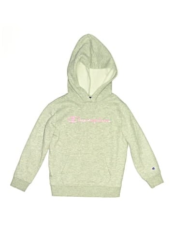 Champion Pullover Hoodie (view 1)