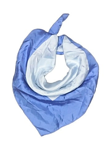 Coach Silk Scarf (view 1)