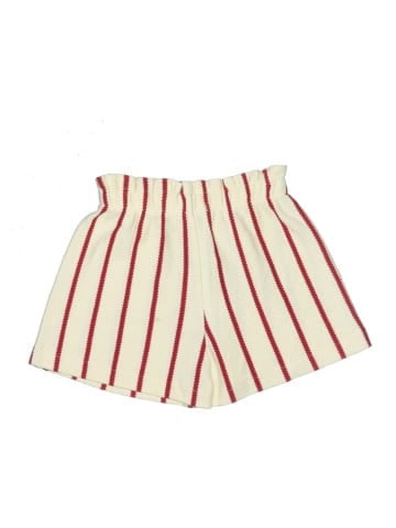 Zara Shorts (view 2)
