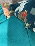 Show Me Your Mumu 100% Polyester Floral White Blue Romper Size S - photo 7