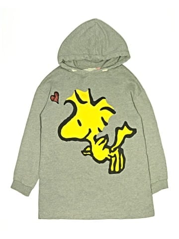 Peanuts Pullover Hoodie (view 1)