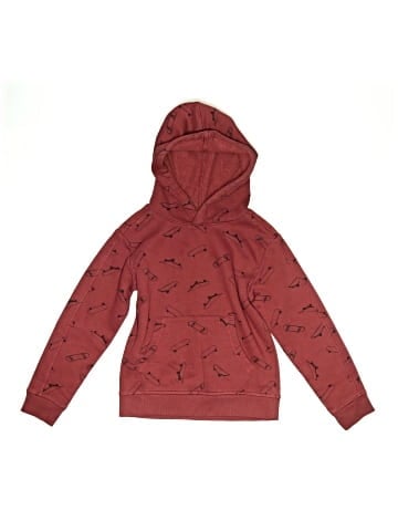 DSG Pullover Hoodie (view 1)