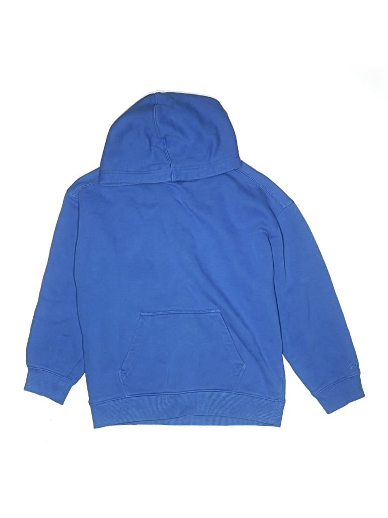Pre-owned Dsg Kids' Pullover Hoodie In Blue