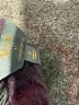 Mix by 41 Hawthorn Brown Pullover Sweater Size S - photo 7