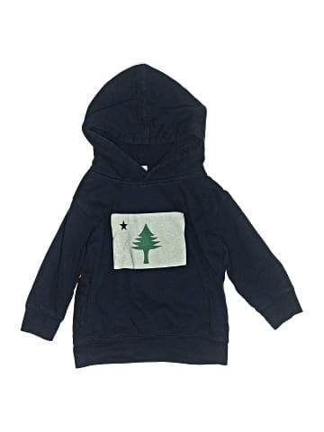 Rabbit Skins Pullover Hoodie (view 1)