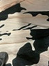 Assorted Brands Print Tan Casual Dress Size 10 - photo 9