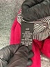 I.N. Studio Pink Blazer Size 10 Petite - photo 7