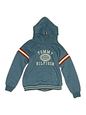 Tommy Hilfiger Pullover Hoodie (view 1)