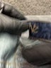 Cache Tweed Blue Jeans Size 12 - photo 8