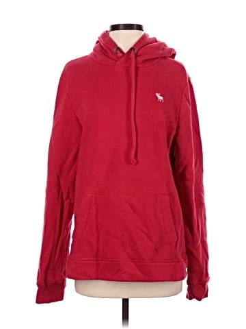 Abercrombie & Fitch Pullover Hoodie (view 1)