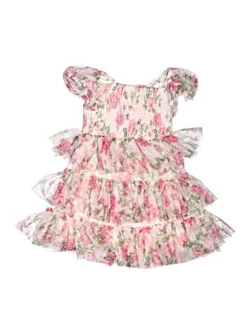Zunie Dress (view 2)