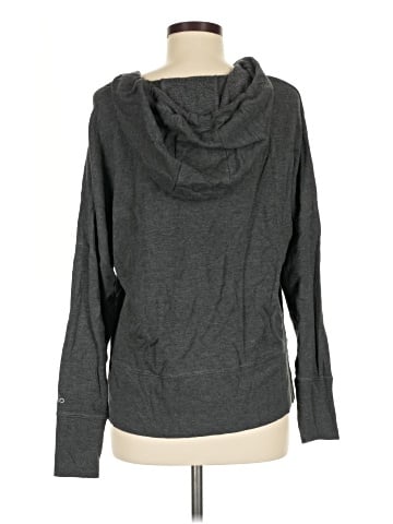 Alo Pullover Hoodie (view 2)