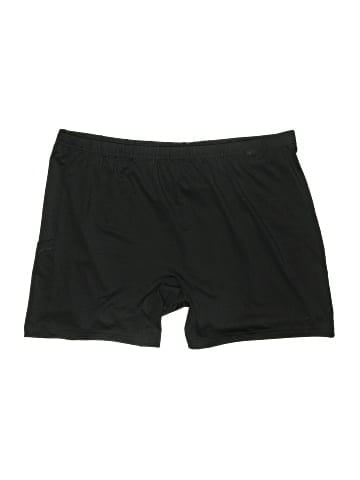 Adidas Athletic Shorts (view 1)