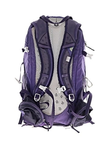Gregory Backpack (view 2)